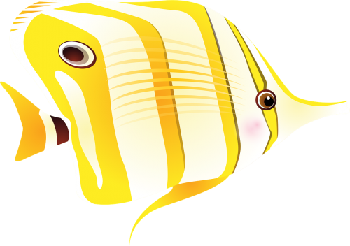 Fish,tropical Fish,sea,exotic Fish,long Nose,butterfly - Fish Pixabay (500x352), Png Download