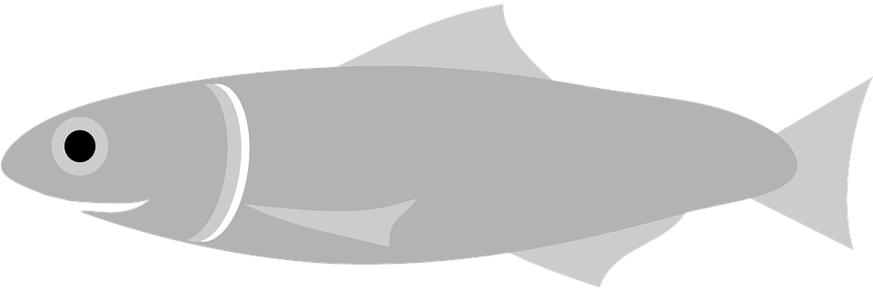 Graphic Bass Fish Vector Stock Vector Art & More Images - Gray Fish Clipart (960x480), Png Download