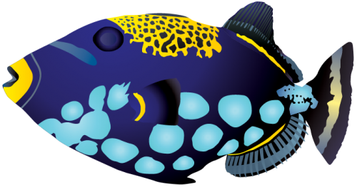 Fish Vector Pack - 5 Fish (500x263), Png Download