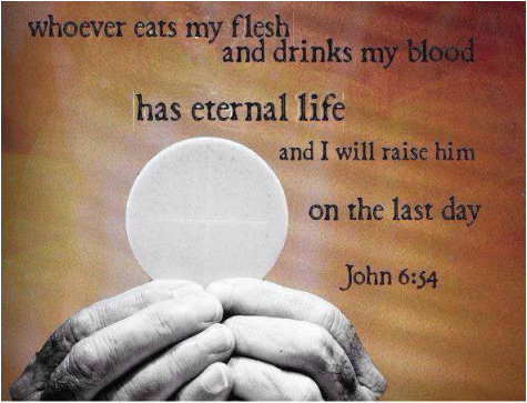 First Communion Program Objectives - Jesus Wine And Bread Quote (475x363), Png Download