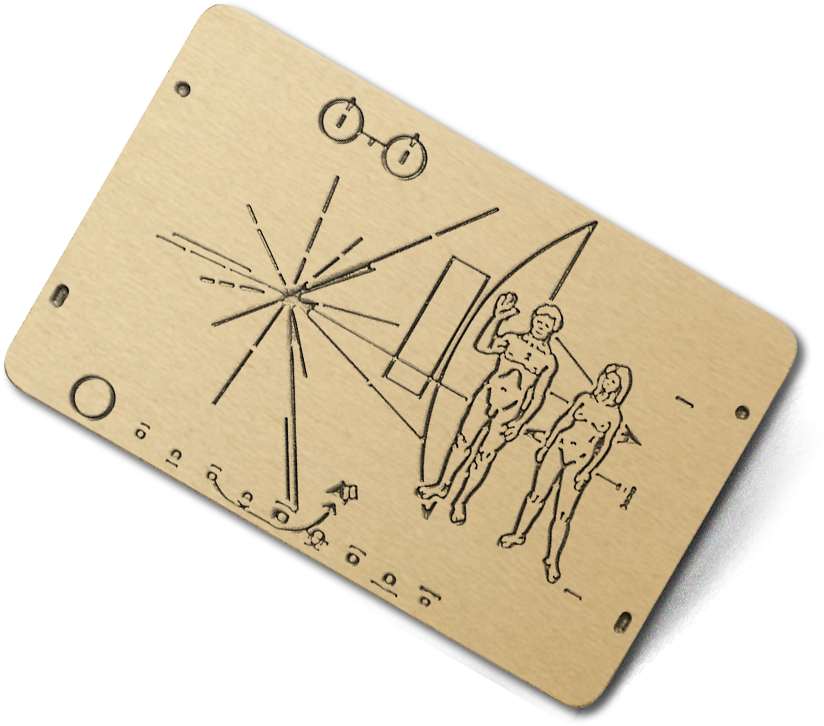 Wood (1334x1334), Png Download