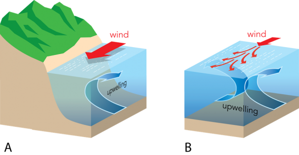 <p><strong>fig - 3 - 23 - </strong> The Processes - Upwelling Equatorial (615x319), Png Download