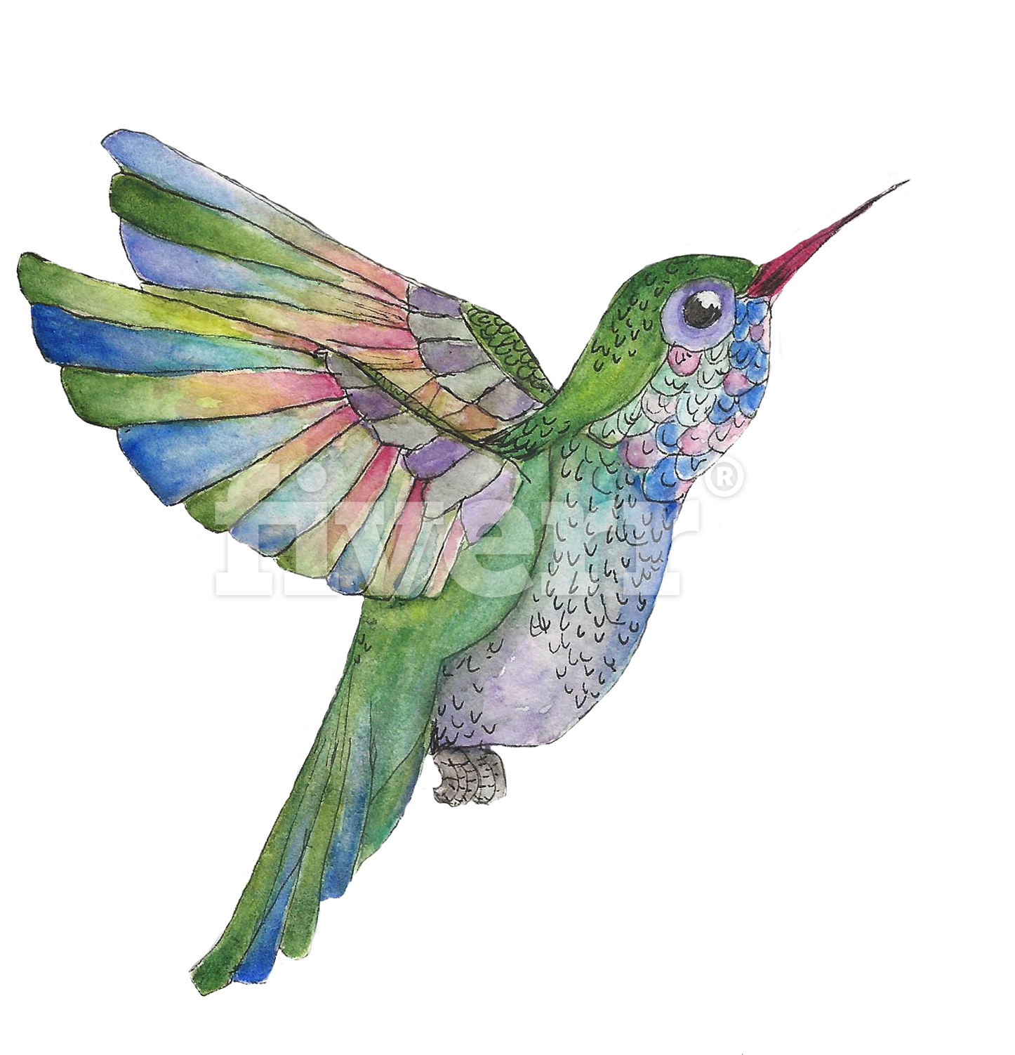 Do A Watercolor And Ink Illustration Of Whatever You - Ruby-throated Hummingbird (1640x1705), Png Download