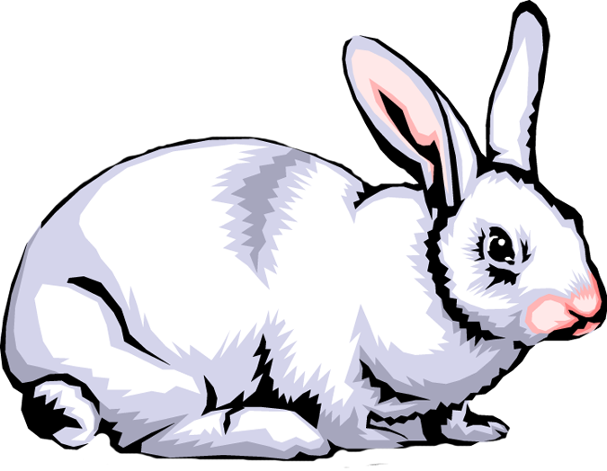 Rabbit Png Clipart - O Que São Seres Heterotroficos (675x524), Png Download