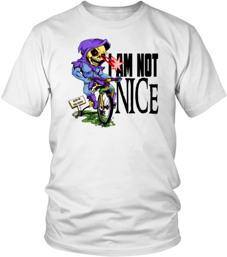 I Am Not Nice Skeletor Shirt M/f Several Colors Myaah - Didn't Mean To Offend You, (530x530), Png Download