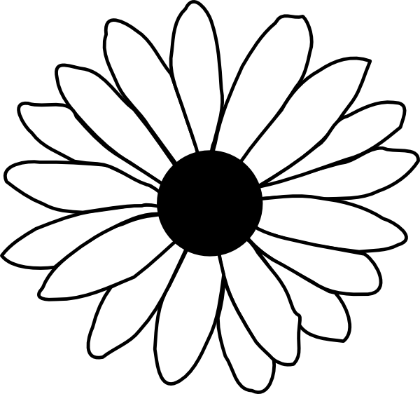Download Flower Line Drawing Clip Art Free Daisy Clipart Black And White Png Image With No Background Pngkey Com