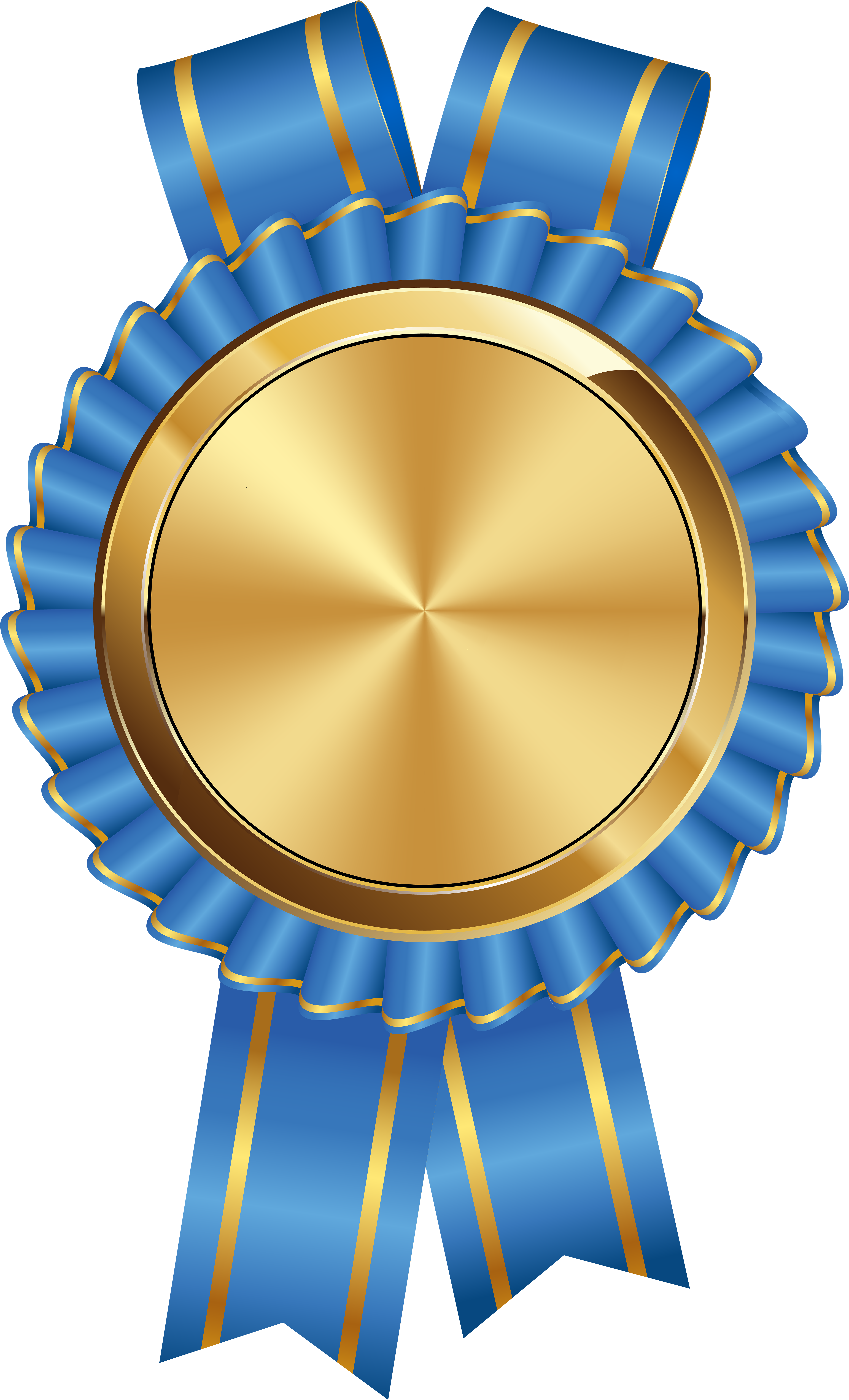 Seal Badge Gold Png - Gold And Blue Seal Png (4852x8000), Png Download