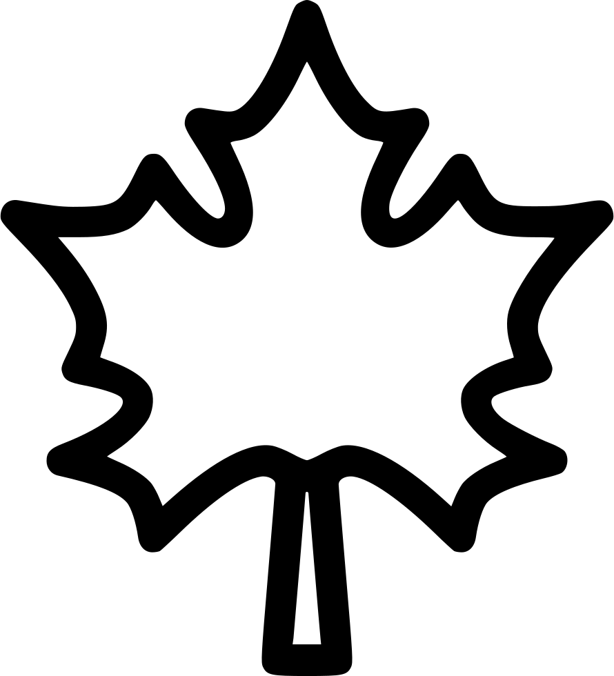 Maple Leaf Leaves Autumn Dry Tree Comments - Leaf (890x980), Png Download