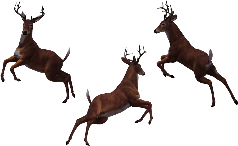Deer Free Download Png - Eat More Fast Food (1024x645), Png Download