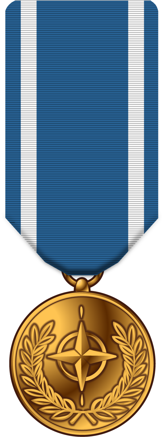 Military Medal Png (750x1500), Png Download