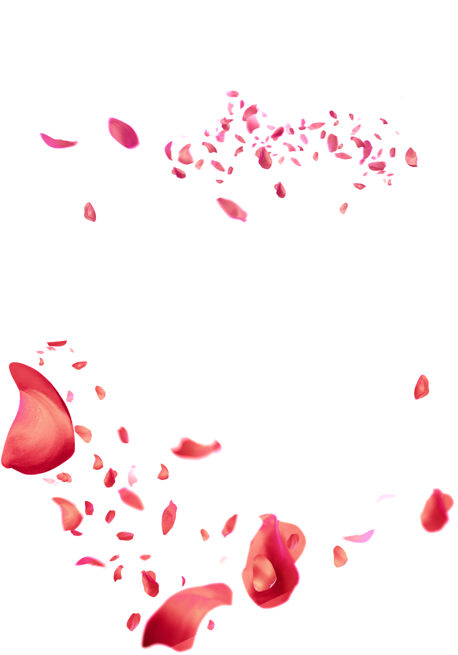 Red Petals Png Element - Roleadro Led Uv Nail Dryer, 24w/48w Adjustable Nail (1024x1364), Png Download