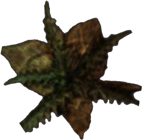 Morrowind Bittergreen Petals - Wiki (500x500), Png Download