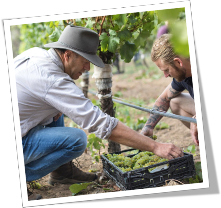 Voyager Estate Chardonnay Pick - Voyager Estate (731x724), Png Download