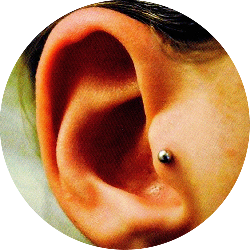 Piercing Aftercare - Wildside Exotic Piercing (500x500), Png Download