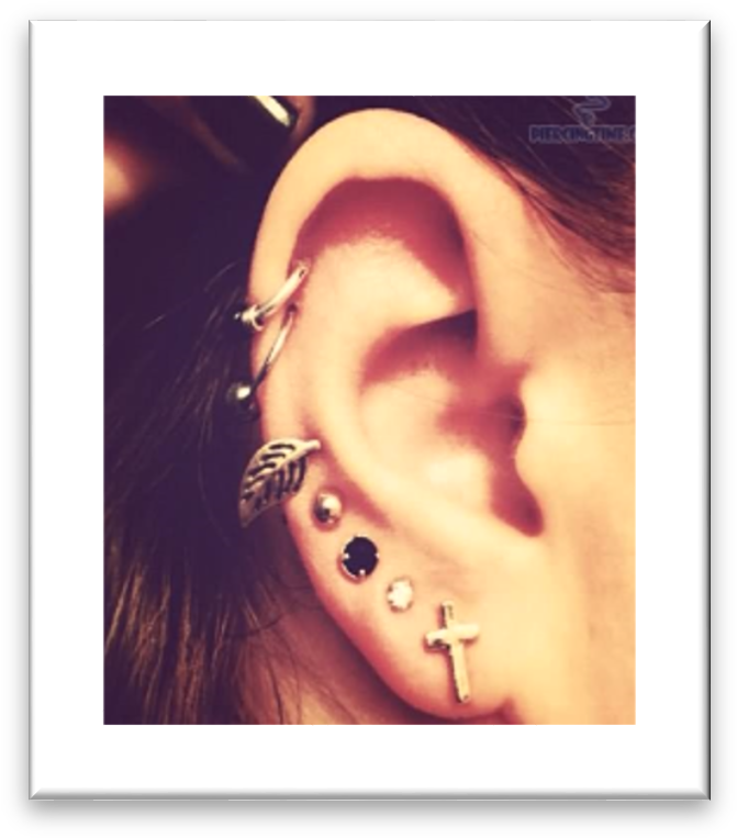 Examples Of Unacceptable Piercings - Helix And Lobe Piercing (685x774), Png Download