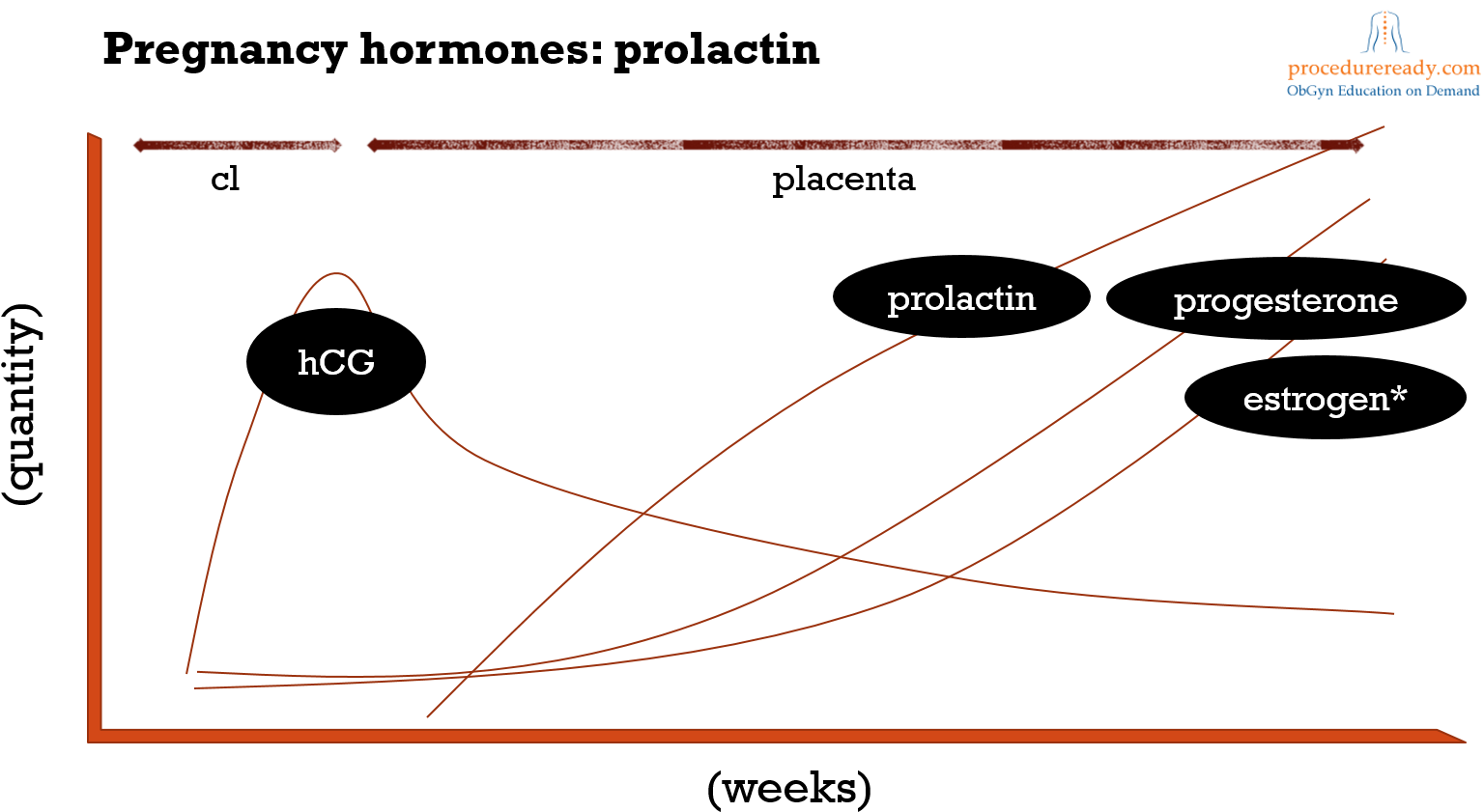 Pregnancy Hormones & Prolactin Regulation Diagram - Hormones During Pregnancy Prolactin (1564x870), Png Download
