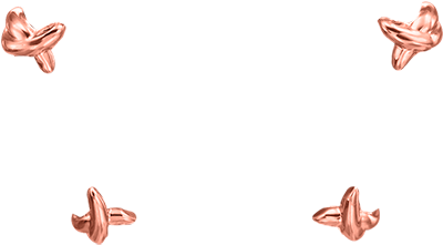 Wraps-rose - Earrings (399x460), Png Download