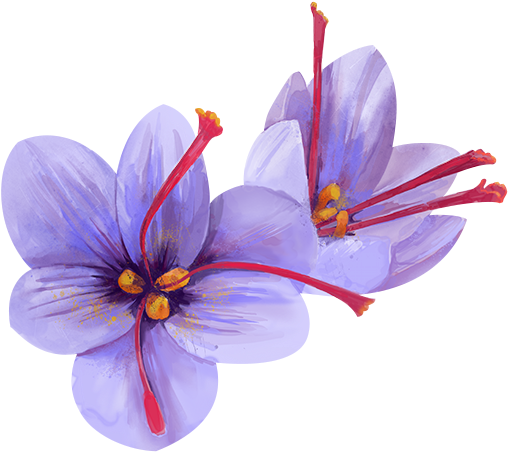 Watercolor Flowers For Collages - Artificial Flower (600x554), Png Download