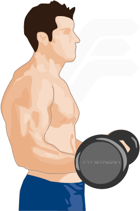 Develop - Biceps Weight (298x420), Png Download