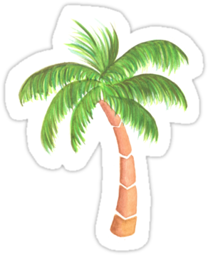 Palm Tree Drawing Png Download " - Palme Sticker (375x360), Png Download