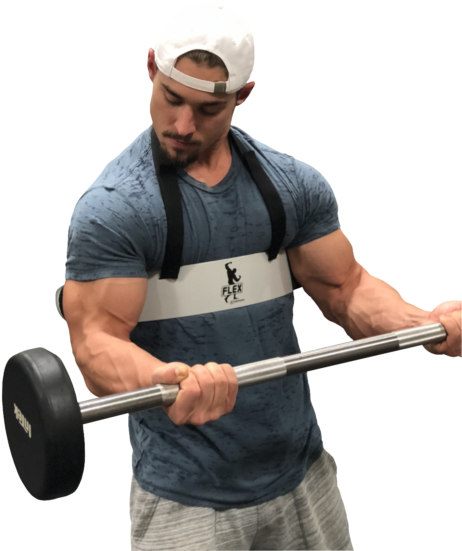 Premium Arm Blaster For Bicep Support By Core Prodigy - Biceps Curl (480x640), Png Download