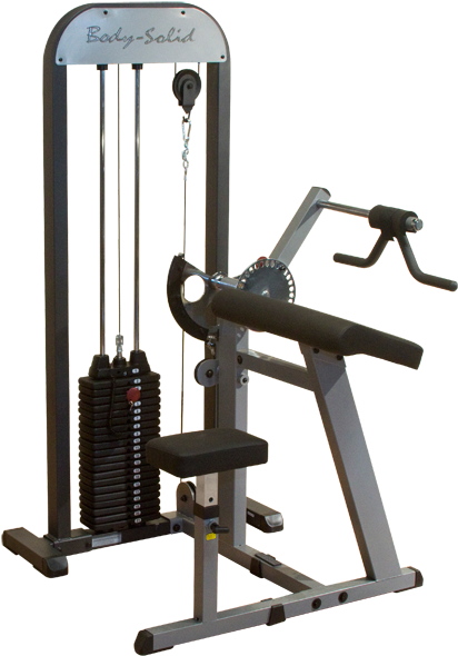 Gcbt Stk, Gcbt Stk - Biceps And Triceps Machine (600x600), Png Download