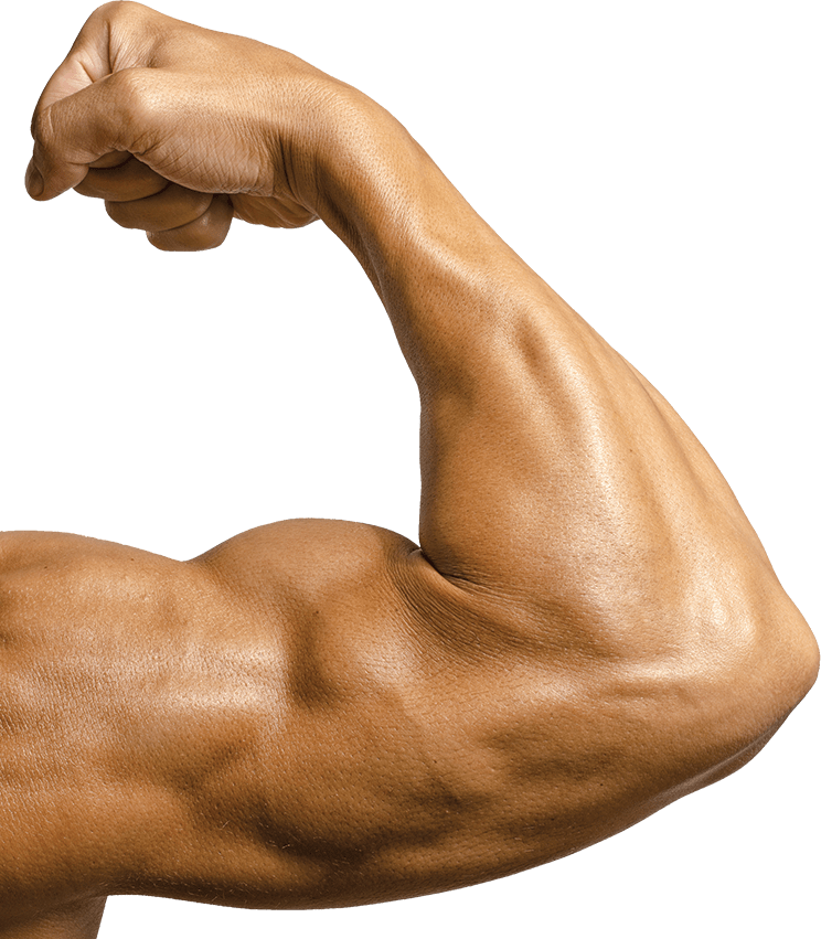 Slider 1819 Vanya Bicep Bicep Flex Closeup Free Transparent Png