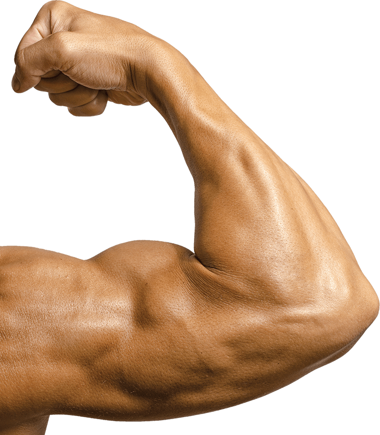 Slider 1819 Vanya Bicep - Bicep Flex Closeup (744x851), Png Download