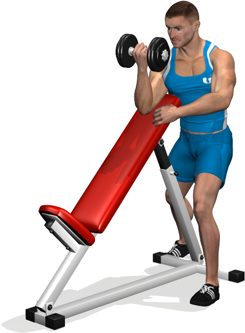 Standing One-arm Dumbbell Curl Over Incline Bench Is - Exercise (700x700), Png Download