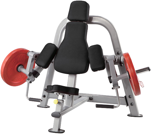 Steelflex Plateload Bicep Curl - Biceps Curl Machine For Sale (500x500), Png Download