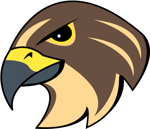 Falcons-logo (503x417), Png Download