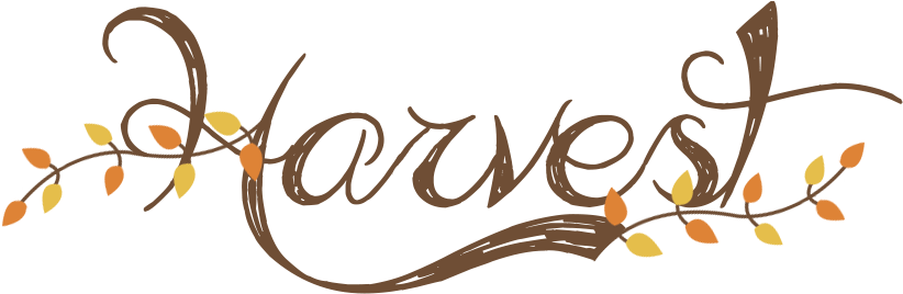 We Chose To Highlight The Beautiful "harvest" Card - Authentique Double-sided Cardstock Pad 12"x12" 24/pkg-harvest, (842x292), Png Download