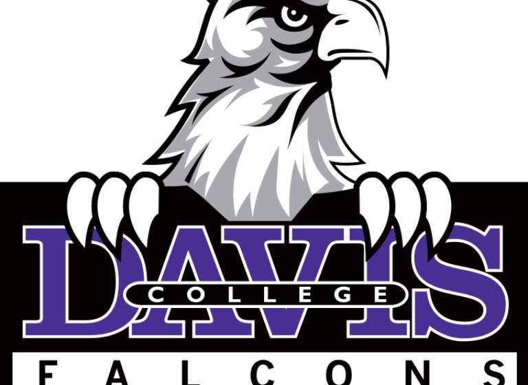 Falcons Earn Several Individual Honors - Davis College (768x560), Png Download