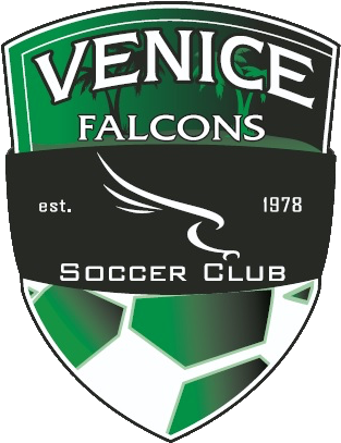 Venice Falcons (330x425), Png Download