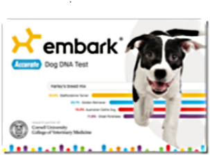 Prize - Embark | Dog Dna Test | Breed Identification | 160 (375x375), Png Download