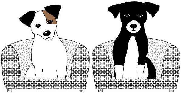 Jack Russell Dog Jack Russell Jack Russell - Chien Jack Russel Dessin (609x340), Png Download