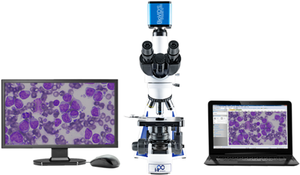 Biovid Hd 1080 Microscope Camera - Lw Scientific Bvc-1080-cmt3 Microscope Camera,2mp,color,c-mount (480x428), Png Download