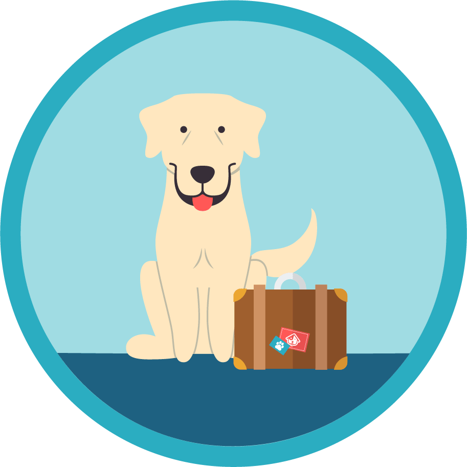 Dog Boarding - Dog (913x913), Png Download