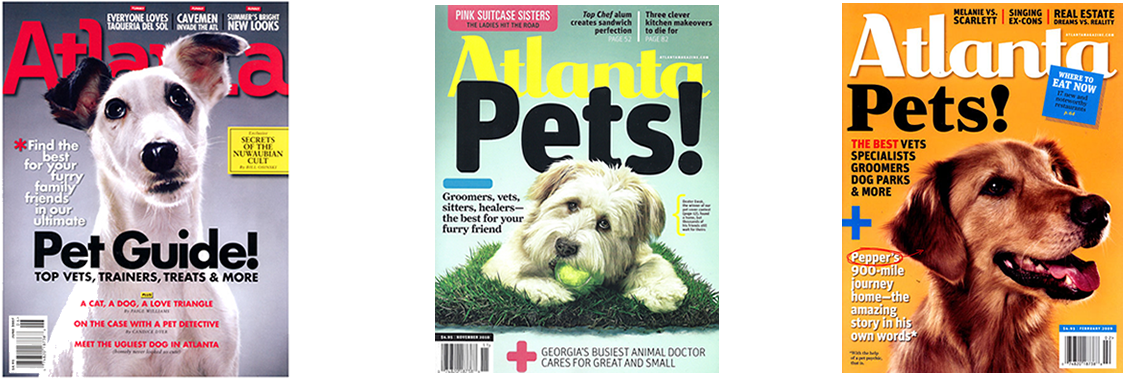 Award Winning Pet Care Services - Dog Who Couldn't Stop Loving: For Thousands Of Years (1200x385), Png Download