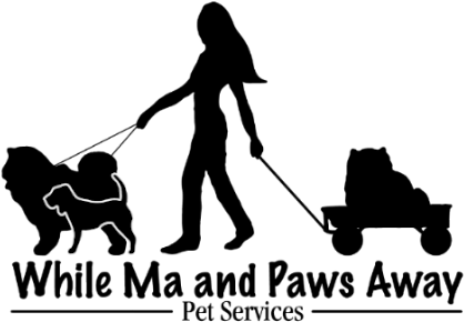 Pet Sitting - Pet Taxi (541x350), Png Download