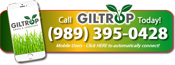 Call Now Button - Caffeinated Drink (578x215), Png Download