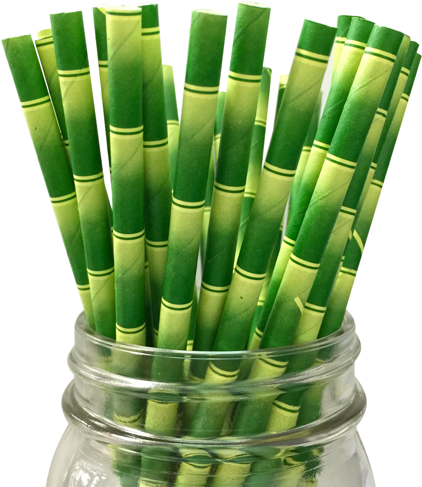 Bamboo Paper Straw - Paper Party Straws Bamboo (1000x1000), Png Download