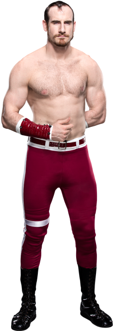 Aiden English - Wwe Com Aiden English (320x728), Png Download