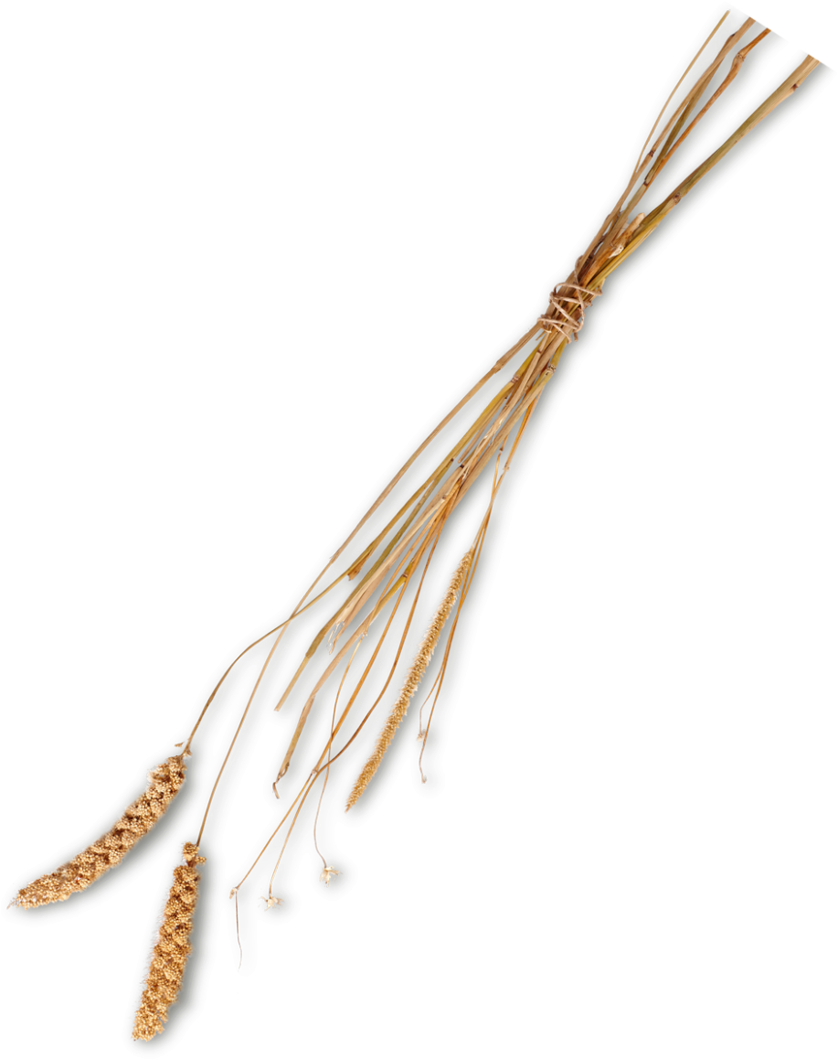 Wire (972x1200), Png Download