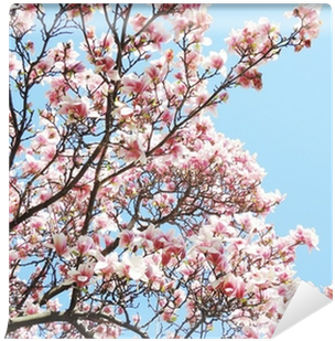 Flower (400x400), Png Download