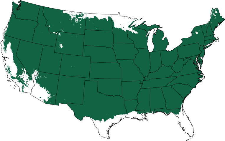 Jane Magnolia Tree - Irvine California On A Map (800x510), Png Download