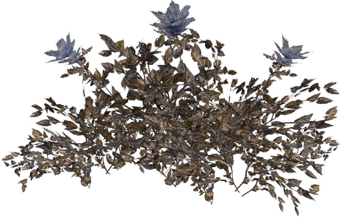 Hub Flower Plant - Chinese Magnolia (1384x853), Png Download