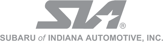 Support From - - Shirt (800x530), Png Download