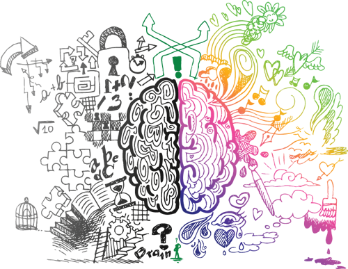 El Hemisferio Derecho Se Utiliza Para Las Cosas Abstractas, - Left And Right Brain (500x387), Png Download