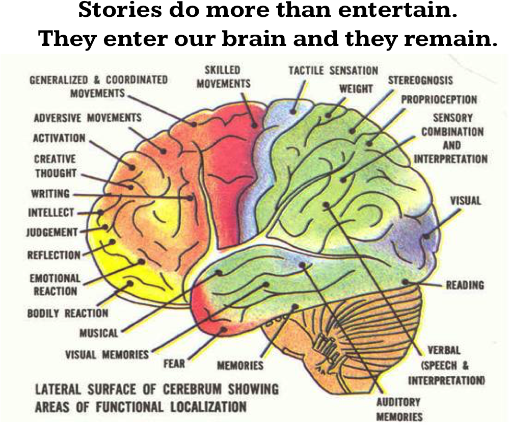 "lateral Brain Anatomy\ - Brain Anatomy (998x886), Png Download
